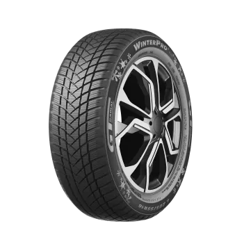 GT Radial WinterPro 2 EVO Dubbfritt Däck