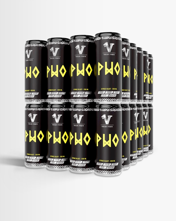 Viking Power PWO Energidryck 48-pack