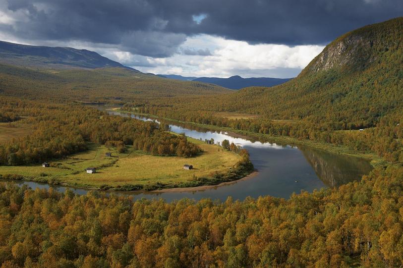 Skydda och Stöd Pollinatörernas Framtid