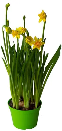 Påskvaror hos City Gross.