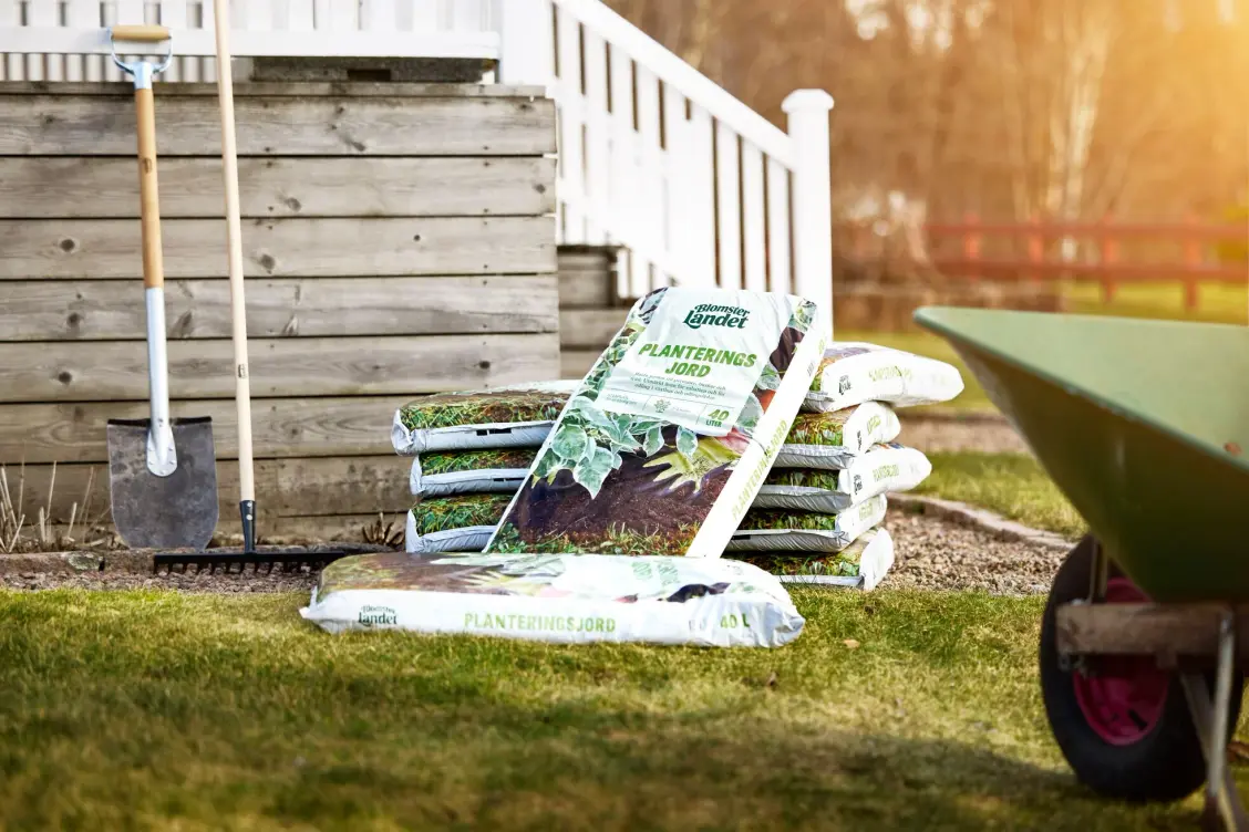 Veckans erbjudanden på växter och blommor