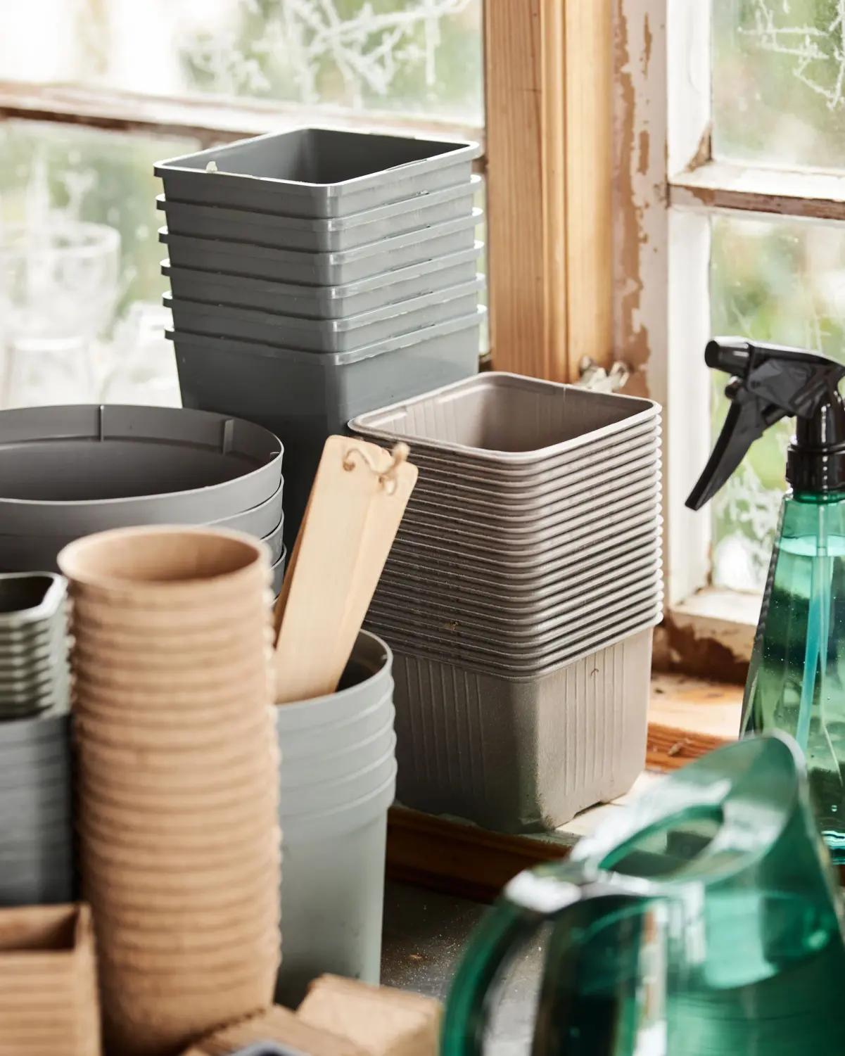 Veckans erbjudanden på växter och blommor