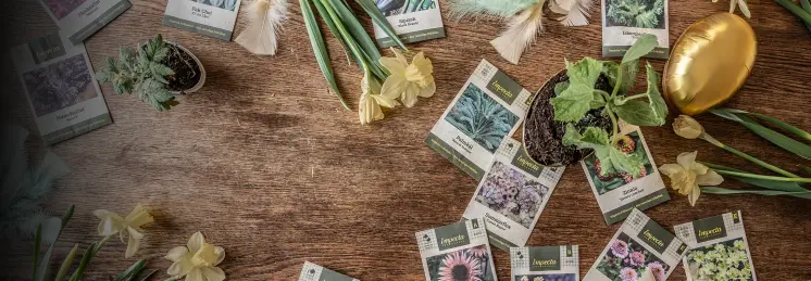 Fri frakt  Få en bonuspåse på köpet  handlar för över 300 kr 