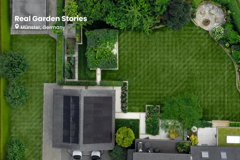 Smart Cashback Reward Robot