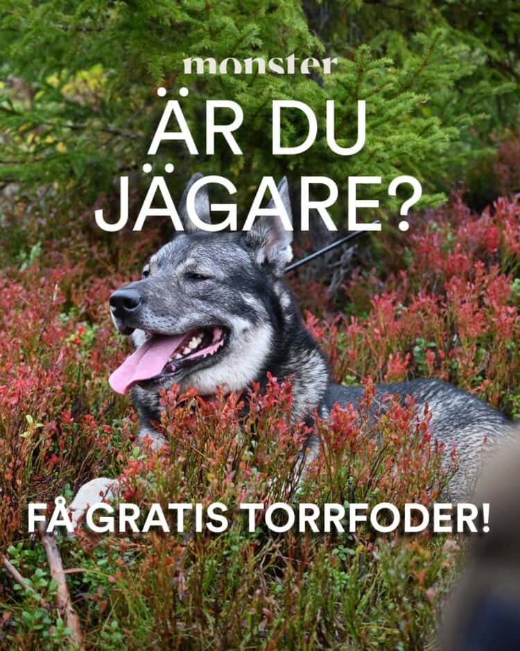 2 kg Gratis Valfritt Monsterfoder Erbjudande