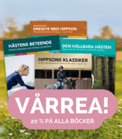 20 % rabatt + 5 % extra på alla böcker hos Hippsson