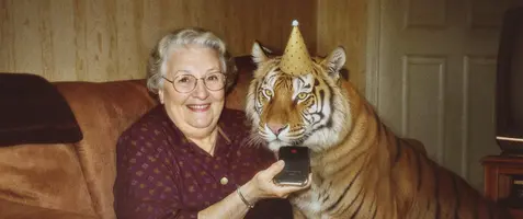 Fello Studentabonnemang