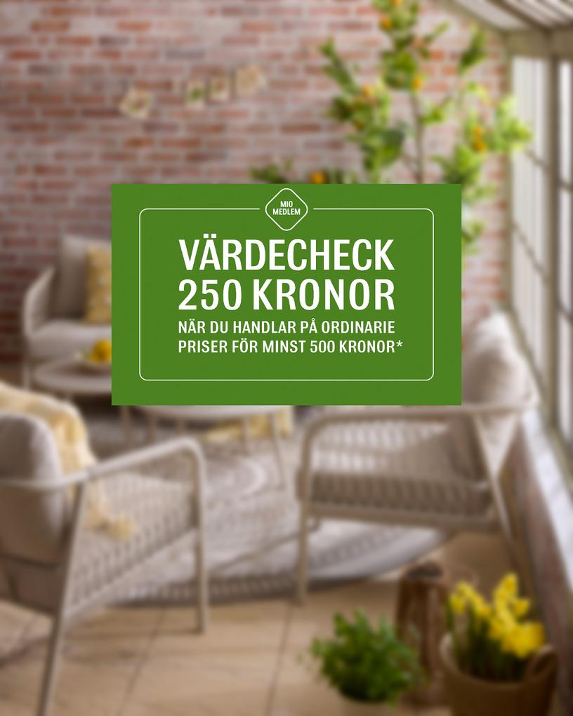 Ny värdecheck från Mio värde 250 kr