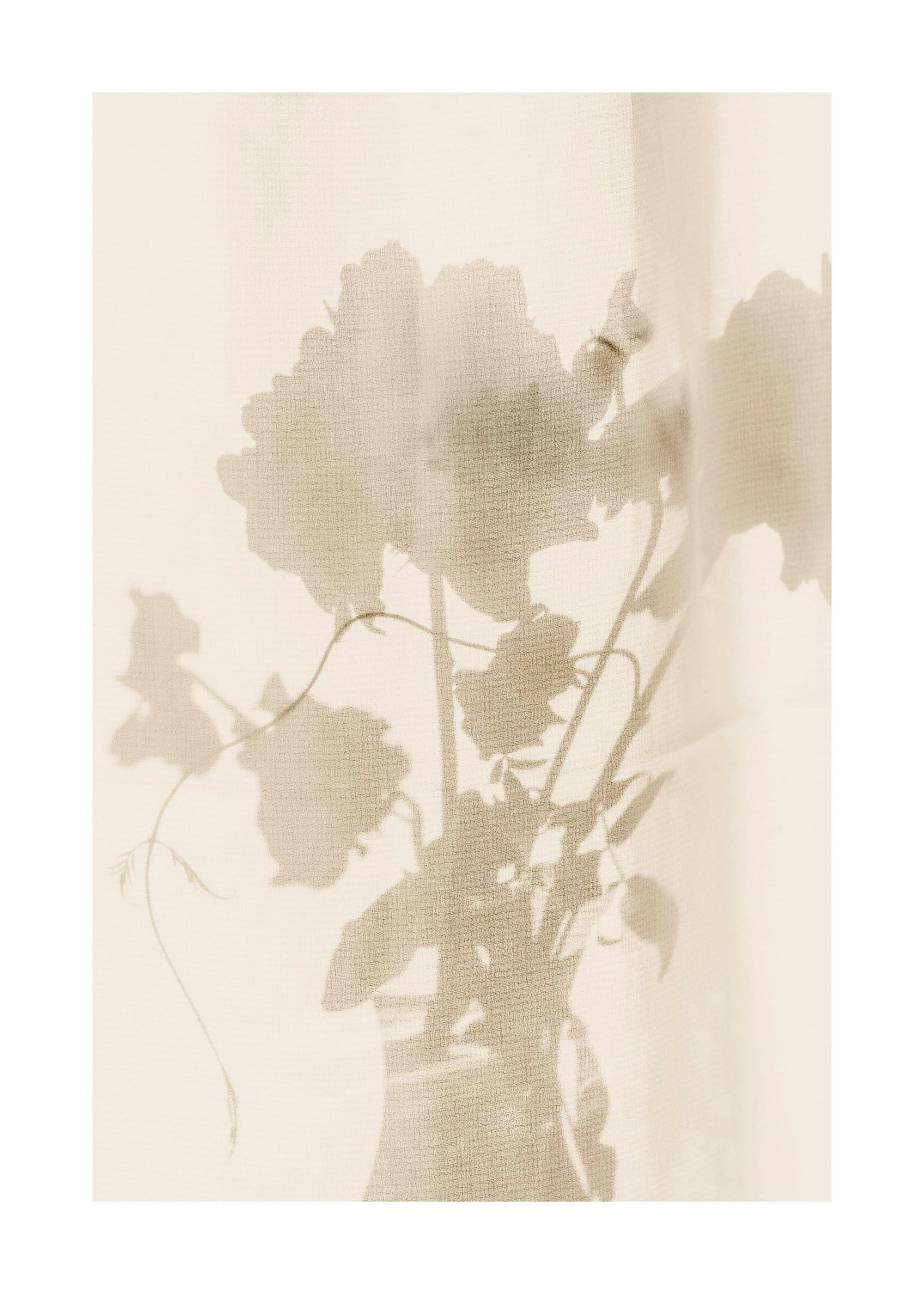 Flower Shade Poster – Nyans av Blommor