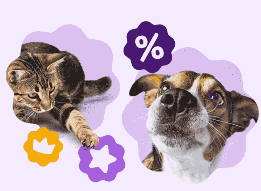 Zooplus Premium Membership Program