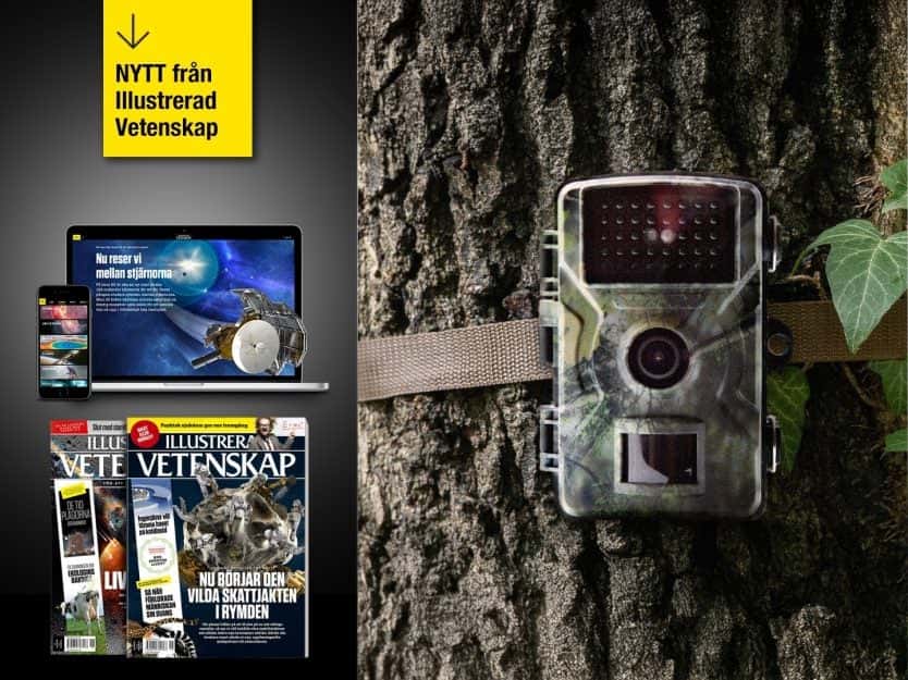 Få 5 tidningar för 459 kr med gåva