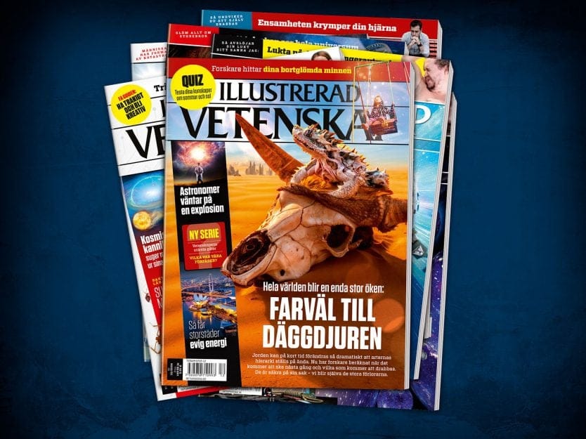 Få 3 tidningar för 219 kr med gåva