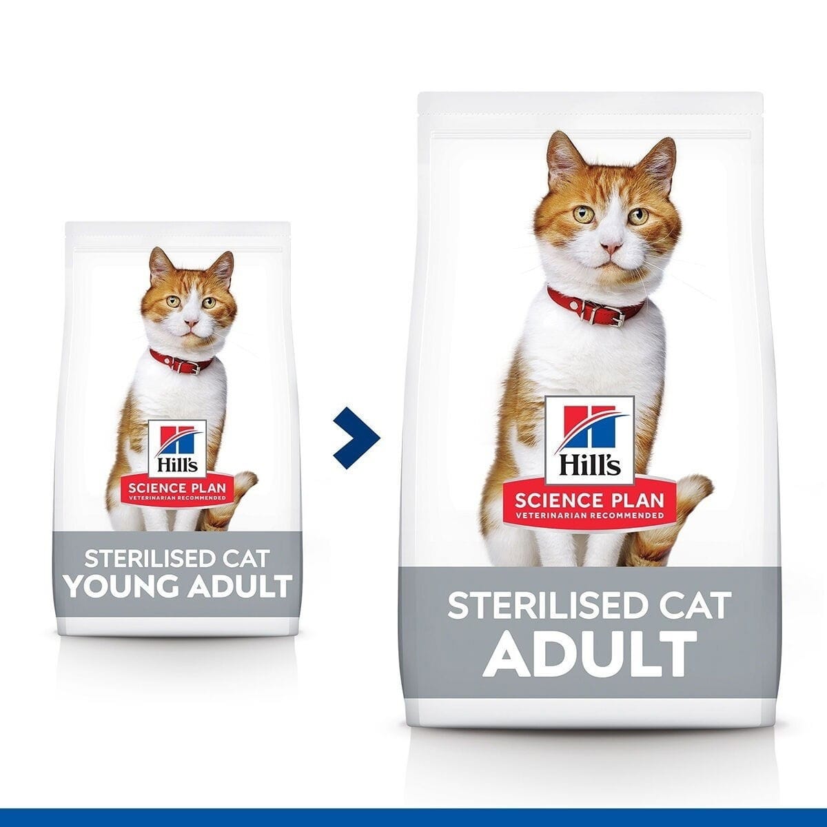 Hill's Science Plan Sterilised Adult Cat Chicken