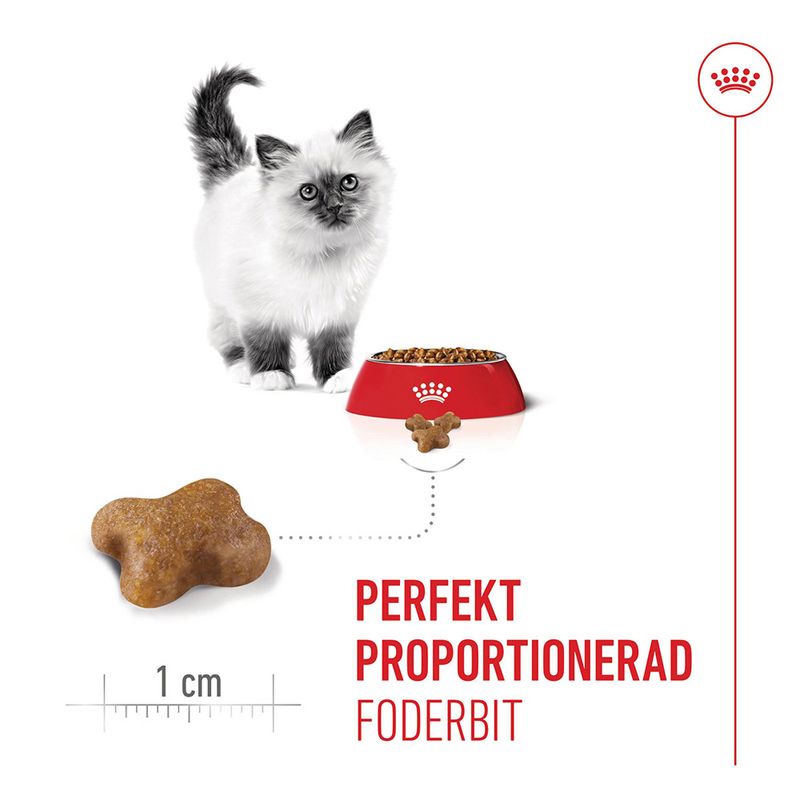 Royal Canin Kitten Torrfoder