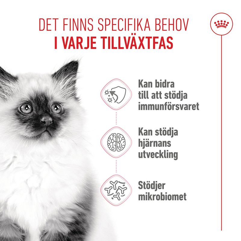 Royal Canin Kitten Torrfoder