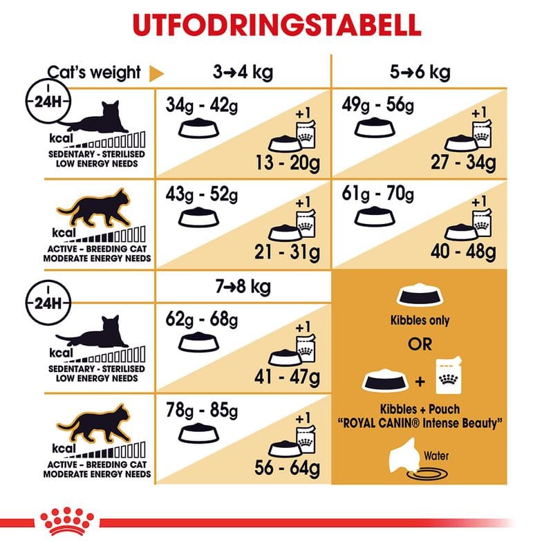 Royal Canin Ragdoll Adult Cat Food