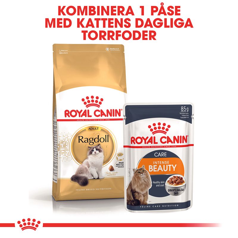 Royal Canin Ragdoll Adult Cat Food