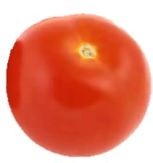 Runda och fina tomater från Sverige. Pris/kg.