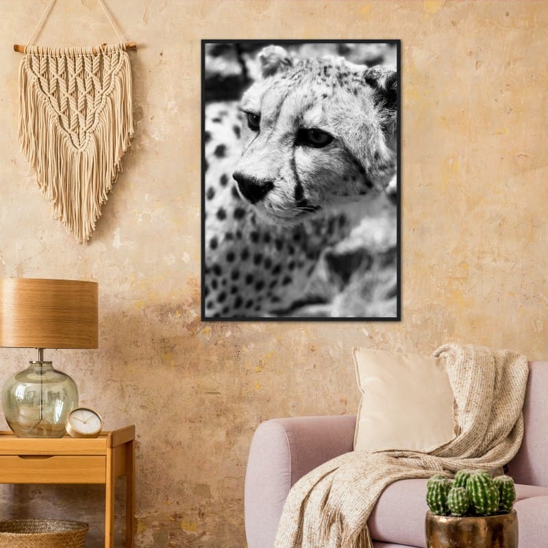 Cheetah Portrait Studio Selection Poster