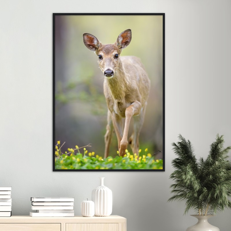 Young Deer Portrait Studio Selection Poster