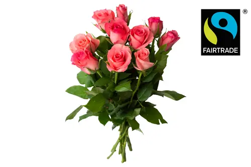 Blomsterboda rosor 10-pack, 35 cm