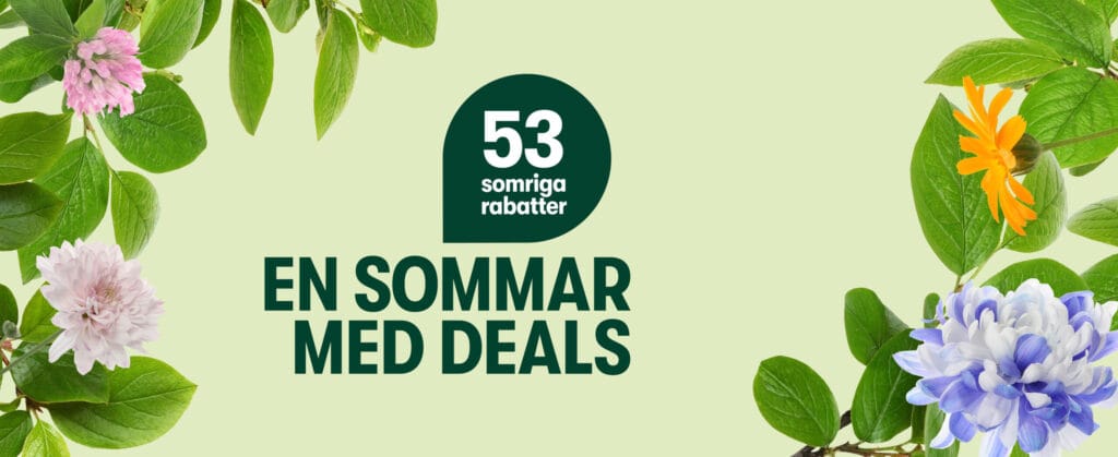 53 Sommarerbjudanden att Upptäcka Nu