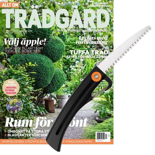 5 nr av tidningen + Grensåg från Fiskars