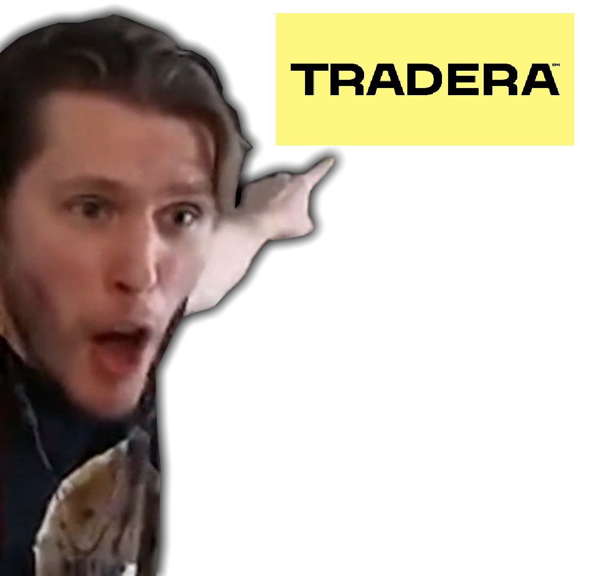 100kr rabatt på tradera