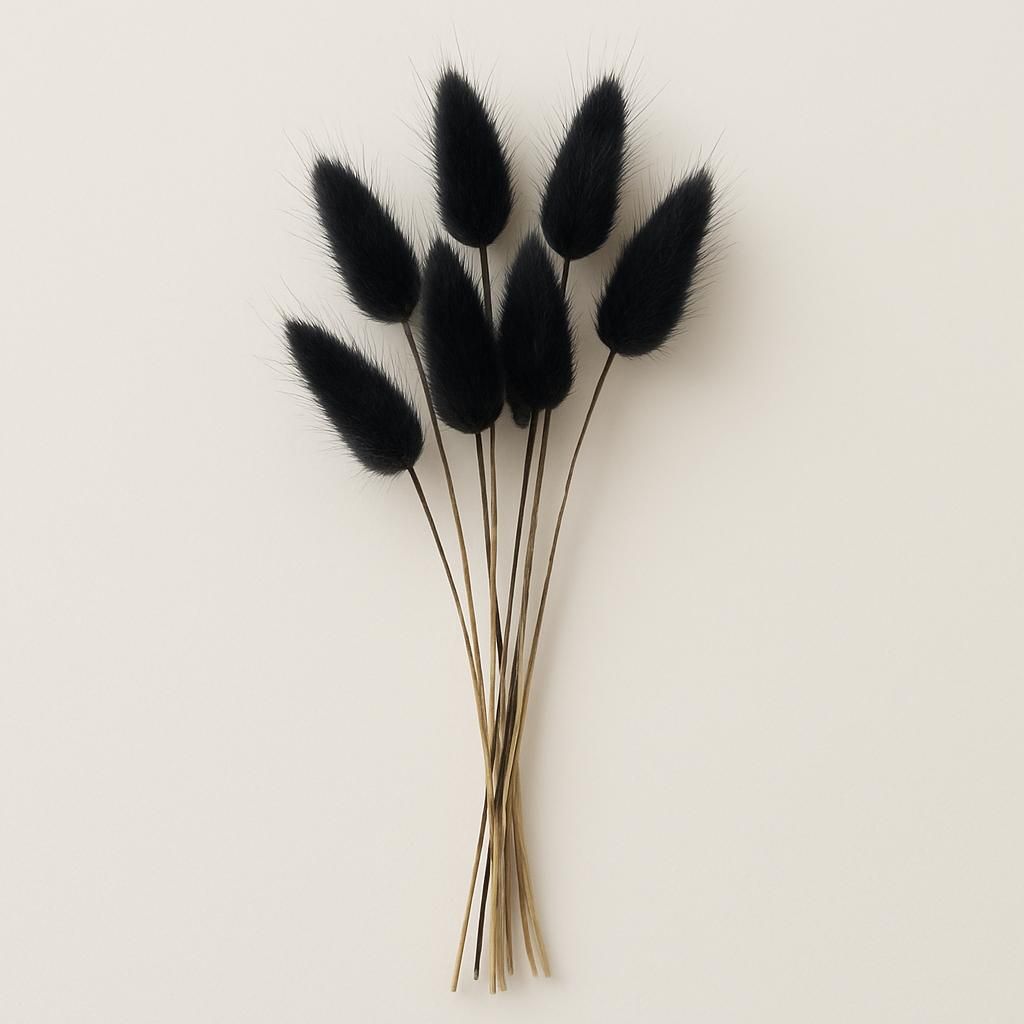 Cooee Design Dried Lagurus Flowers Black