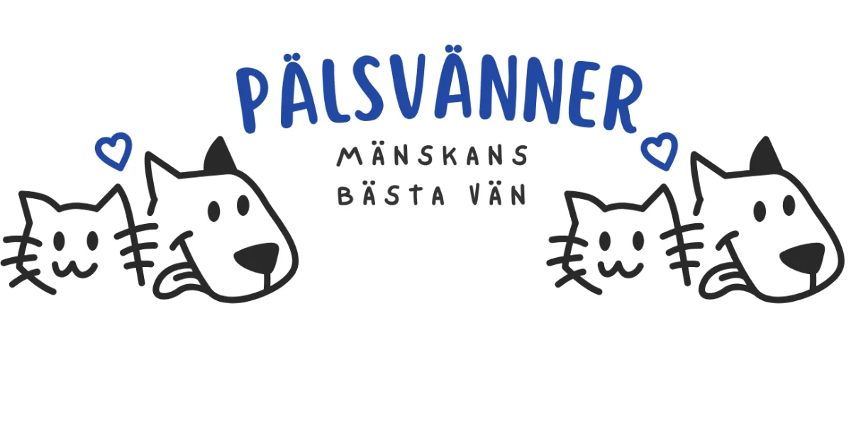Bli testfamilj för hund eller katt