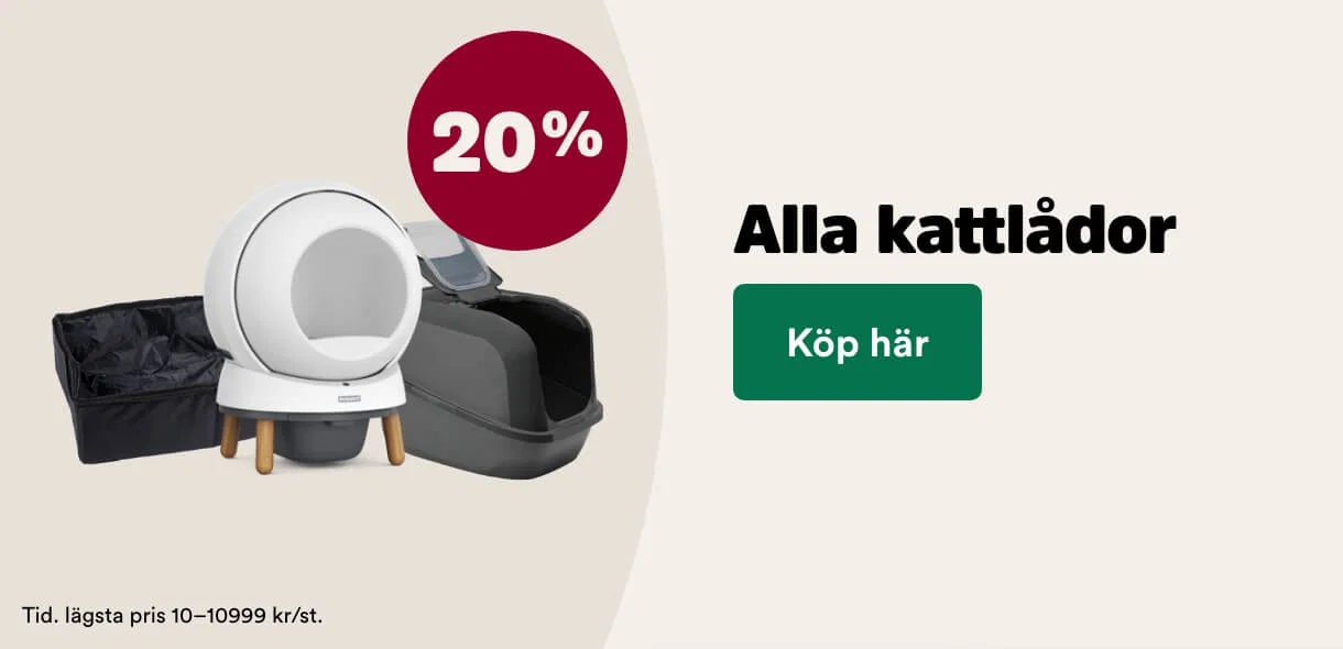 Aktiviteter och evenemang för djurälskare