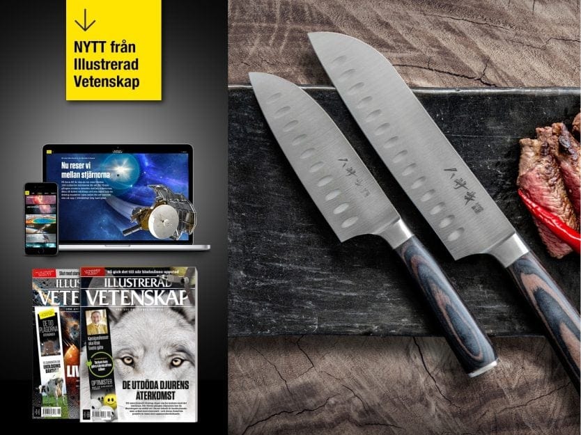 2 tidningar för 169 kr med gåva
