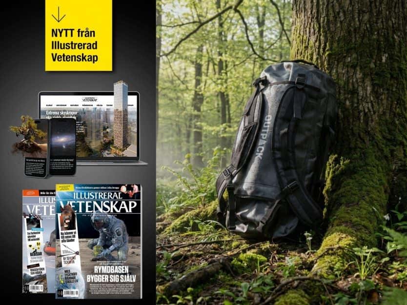 2 tidningar för 169 kr med gåva