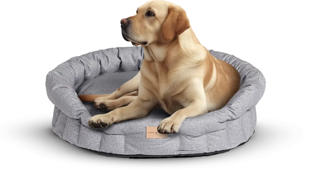 Exklusiva Kampanjerbjudanden