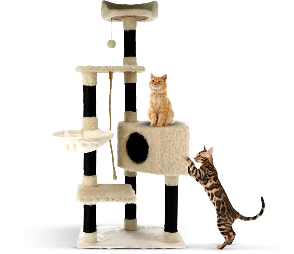 Exklusiva Kampanjerbjudanden