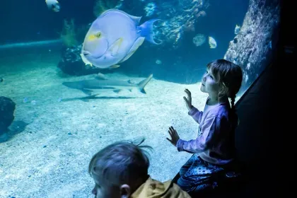 50kr rabatt på Universeum Årskort 