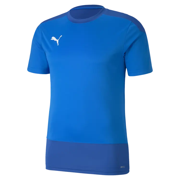 Puma teamGOAL 23 träningströja