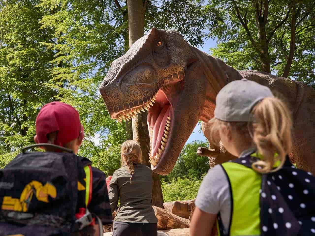 25 % rabatt på övernattning i Wild Lodge i Skånes Djurpark