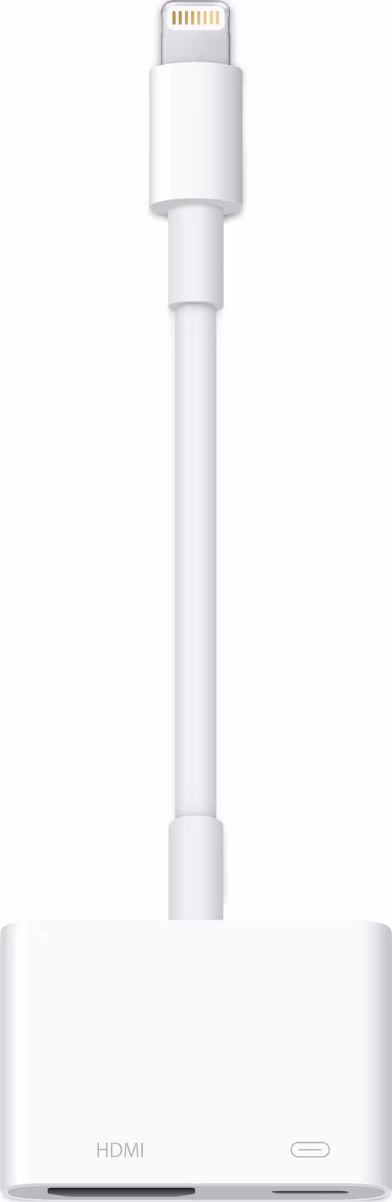 Apple Lightning to Digital AV Adapter
