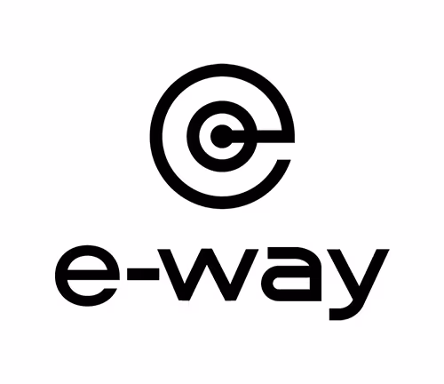 E-way E6060FRS High-Performance Electric Scooter