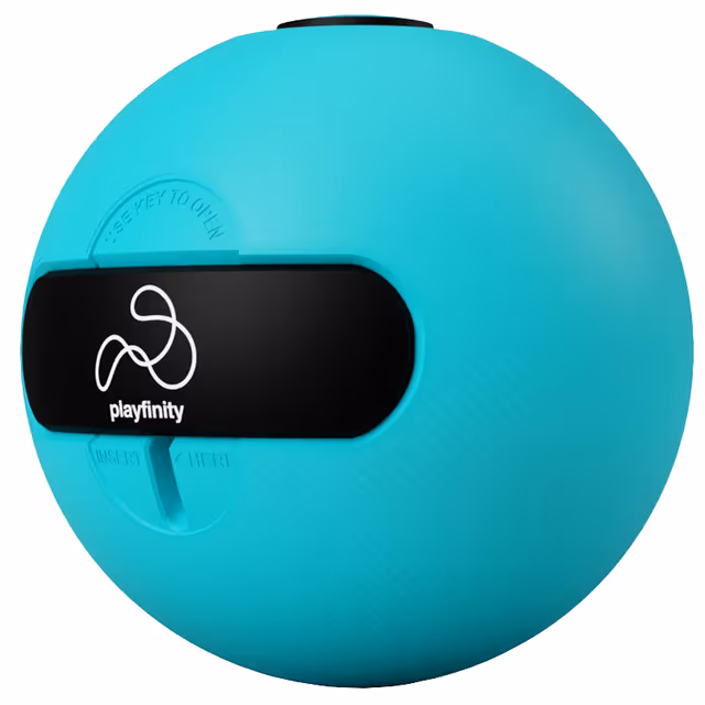 Playfinity Interactive Bouncy Ball Game