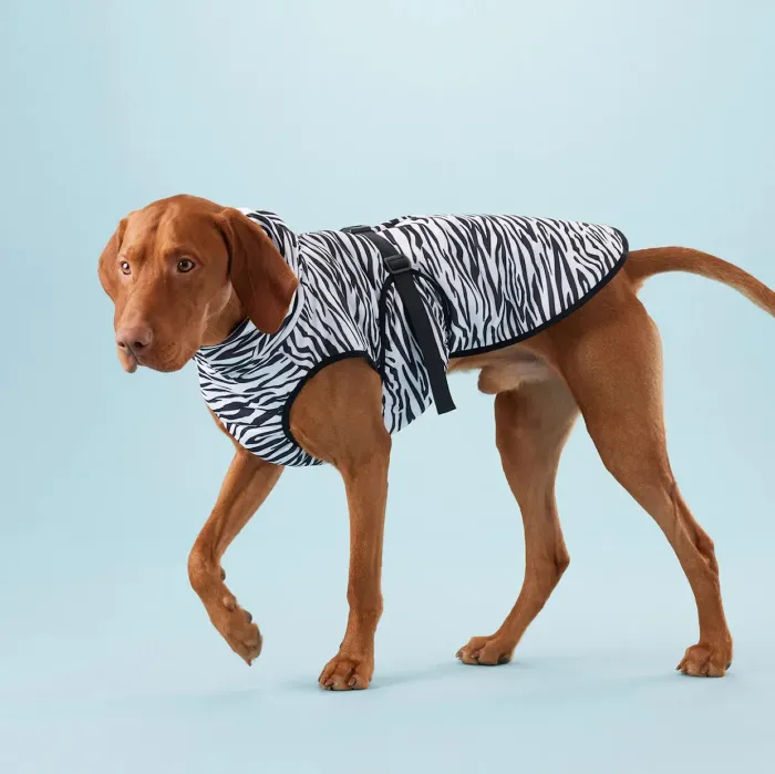 PAIKKA Cooling and Insect-Repellent Vest
