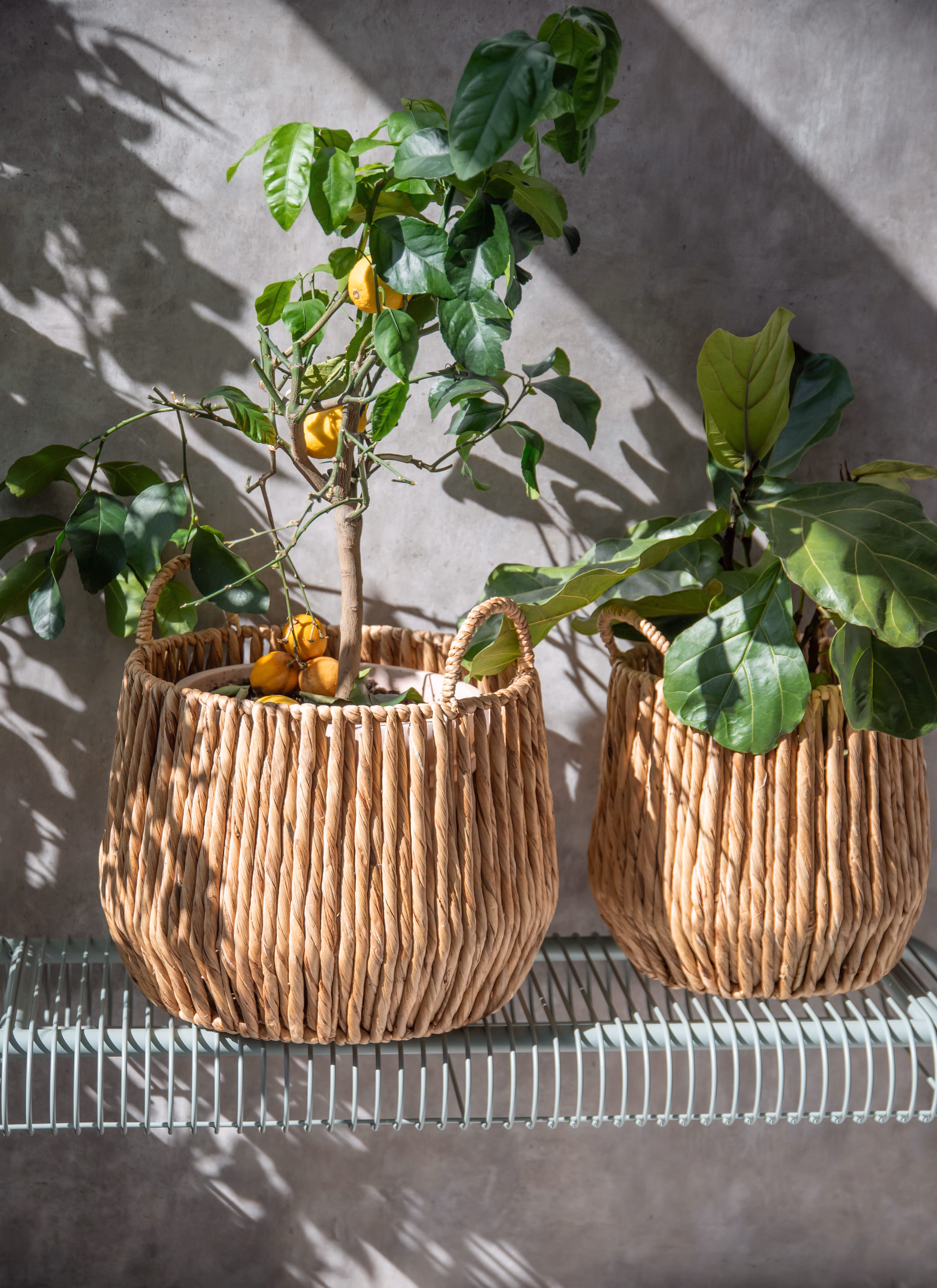Ljusgrön Kantad Kruka - Elegans Stil