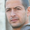 Arale Cohen