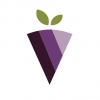 Health Equity Labs