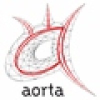 Aorta