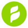 Banyan Branch