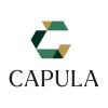 Capula Investment Management