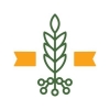 Grow-NY
