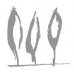 TT Capital Partners